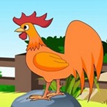 不需要你的特殊关照