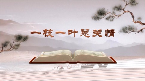 《平“语”近人——习近平总书记用典》：一枝一叶总关情