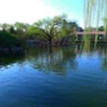 字初一《西塘》诵读：叶子