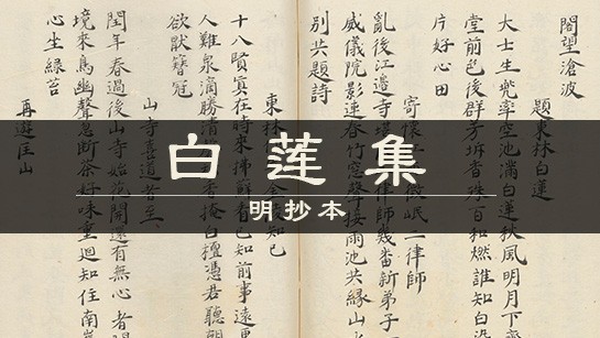 白莲集