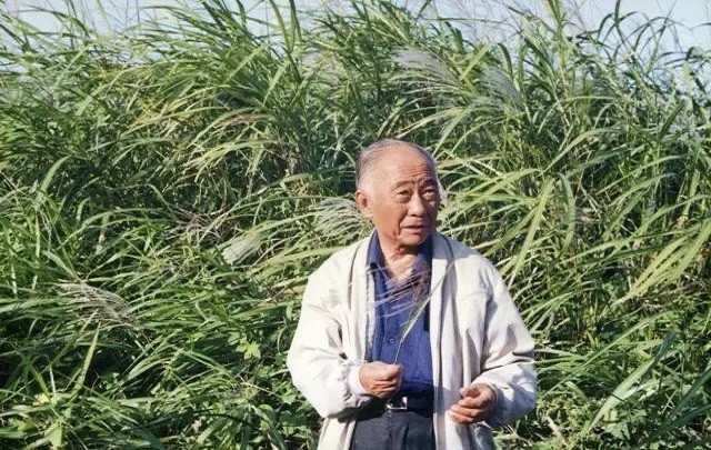 姚维儒：还原汪曾祺笔下的文学地理和旧时足迹